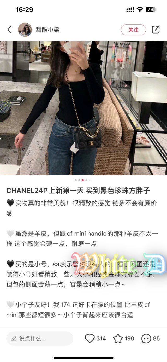하얀악마 샤넬 쁘띠삭 플랩백 (2).jpg
