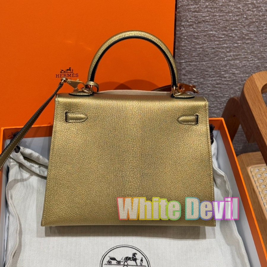 하얀악마 에르 켈리 (4).jpg