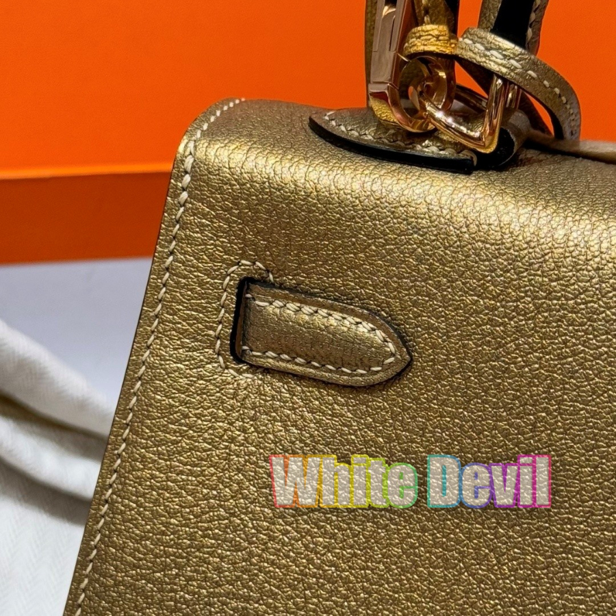 하얀악마 에르 켈리 (15).jpg