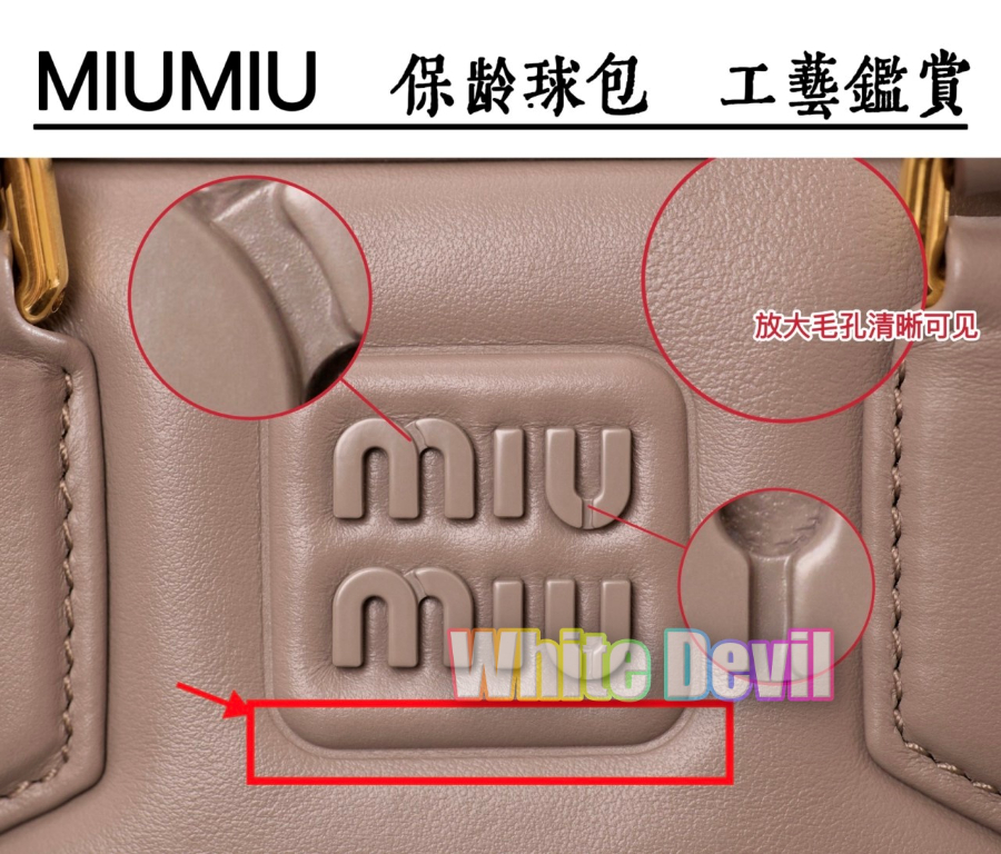 하얀악마 미우 아르카디 (15).jpg