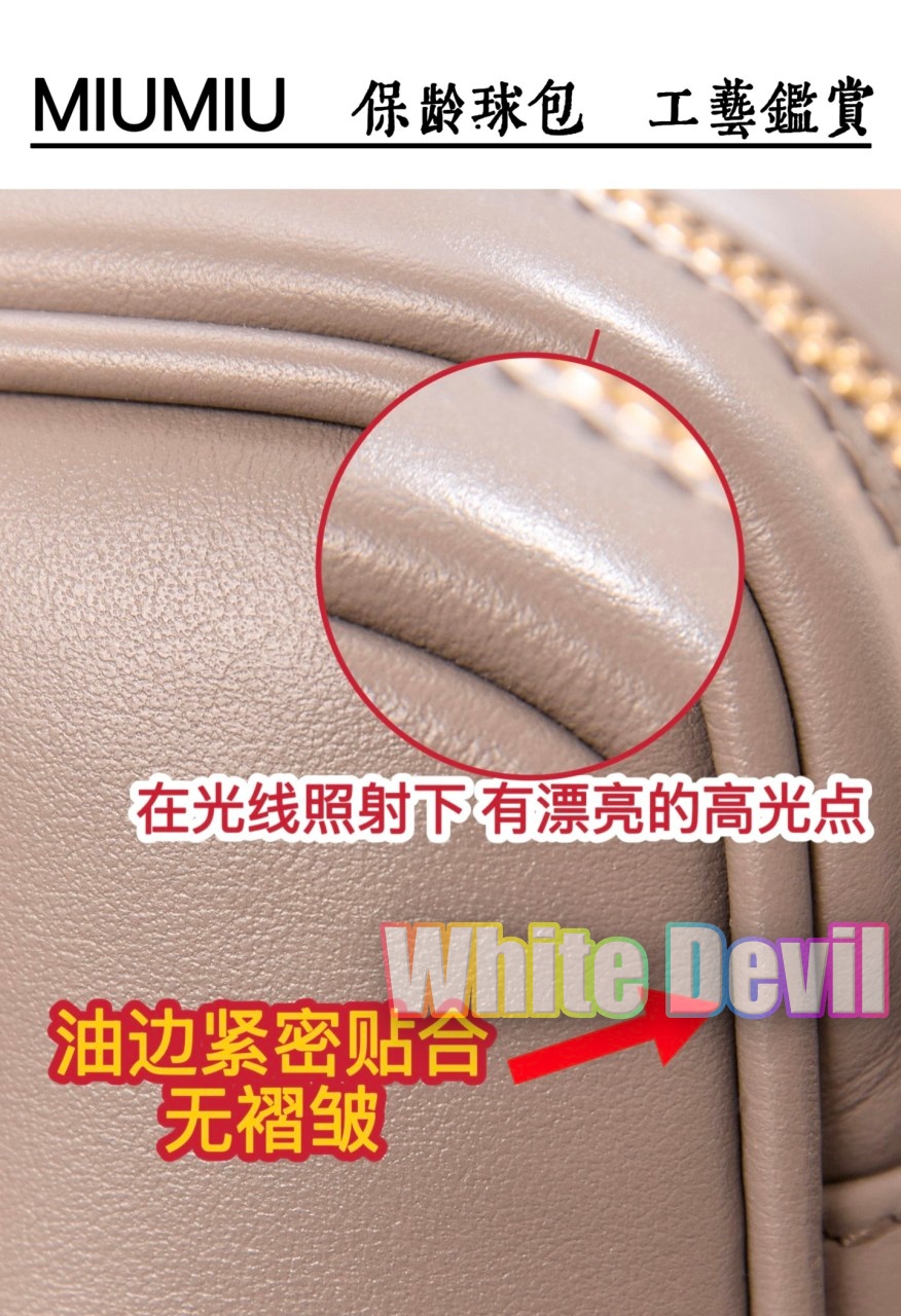 하얀악마 미우 아르카디 (16).jpg