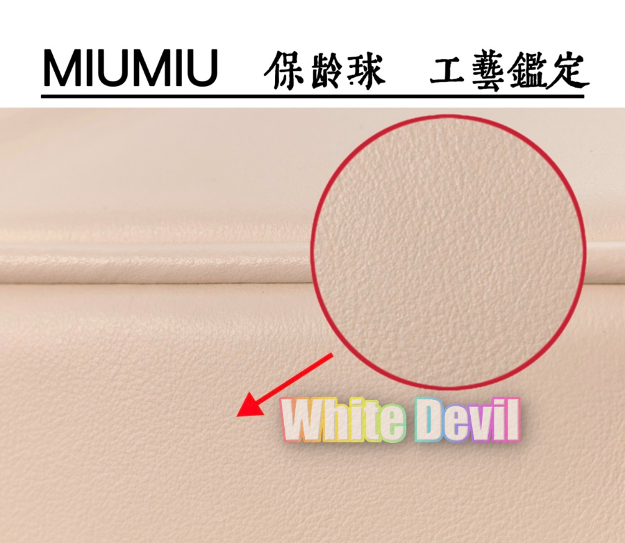 하얀악마 미우 아르카디 (12).jpg