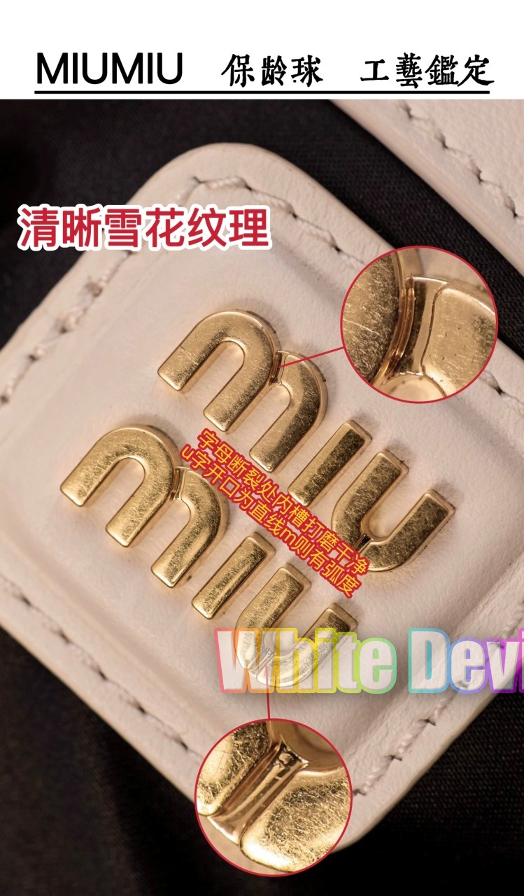 하얀악마 미우 아르카디 (10).jpg