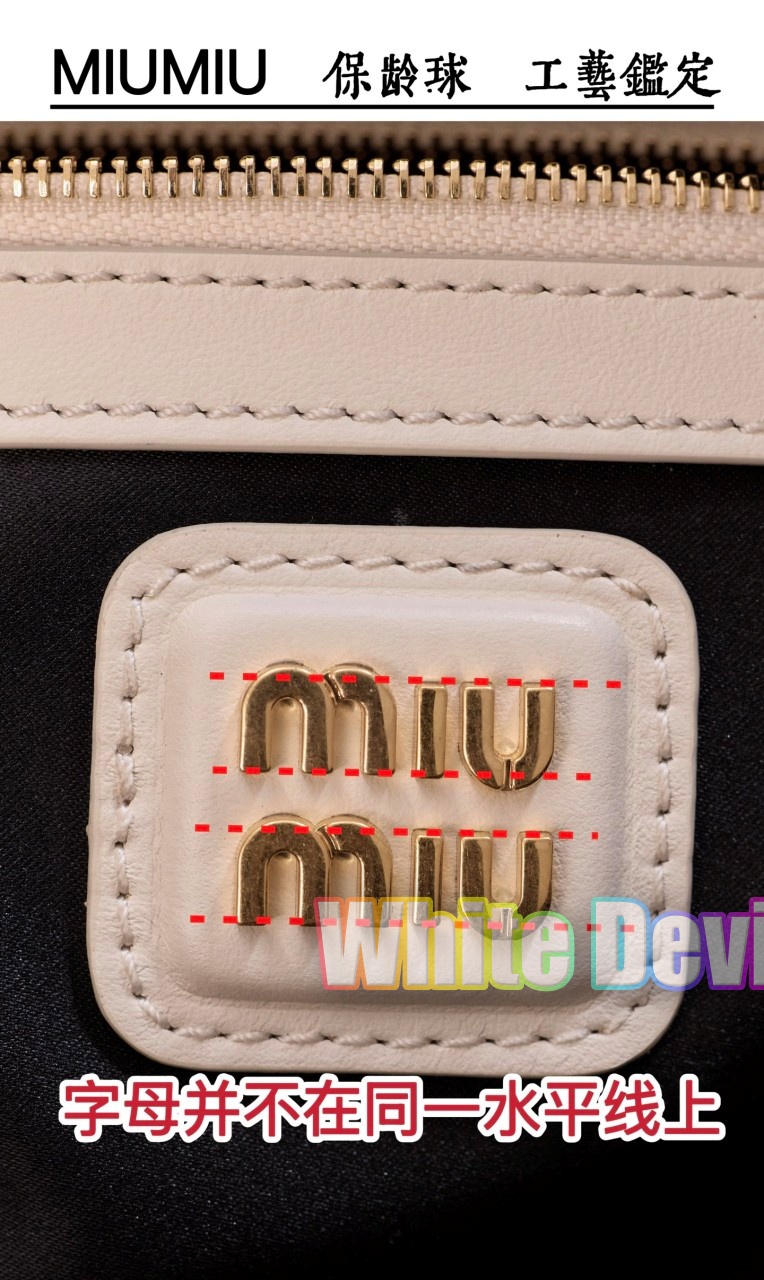 하얀악마 미우 아르카디 (11).jpg