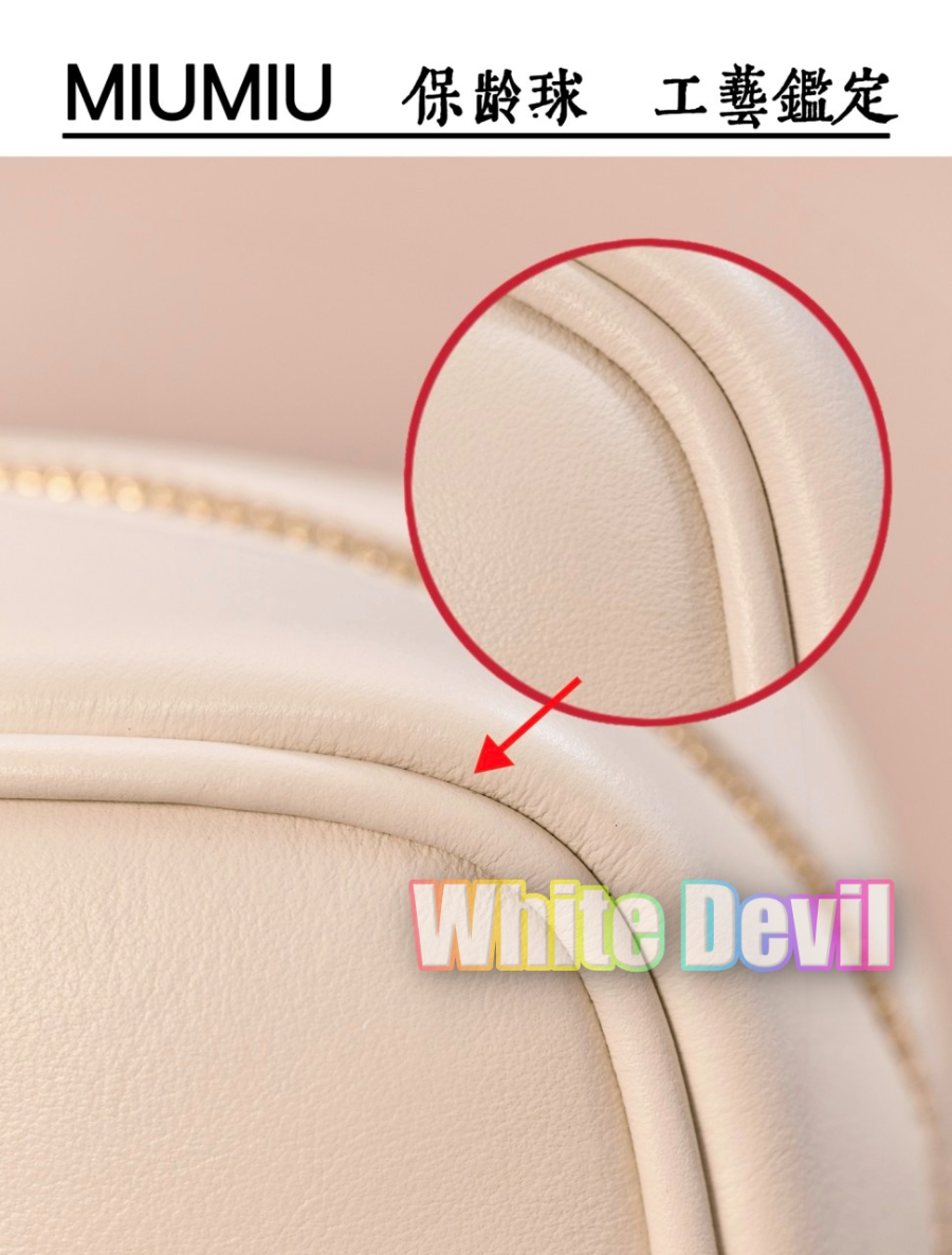 하얀악마 미우 아르카디 (13).jpg