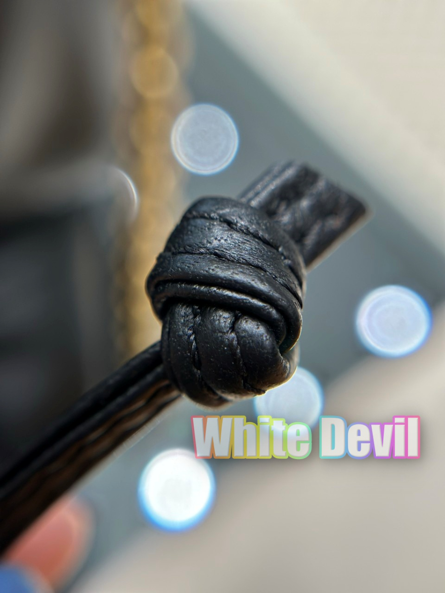 하얀악마 생로랑 제이미 (17).jpg