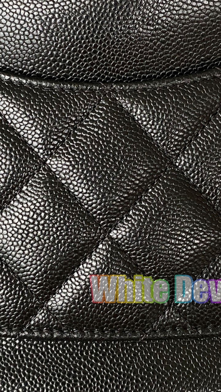 하얀악마 샤넬 백팩 (24).jpg