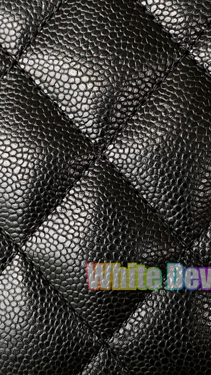 하얀악마 샤넬 백팩 (25).jpg