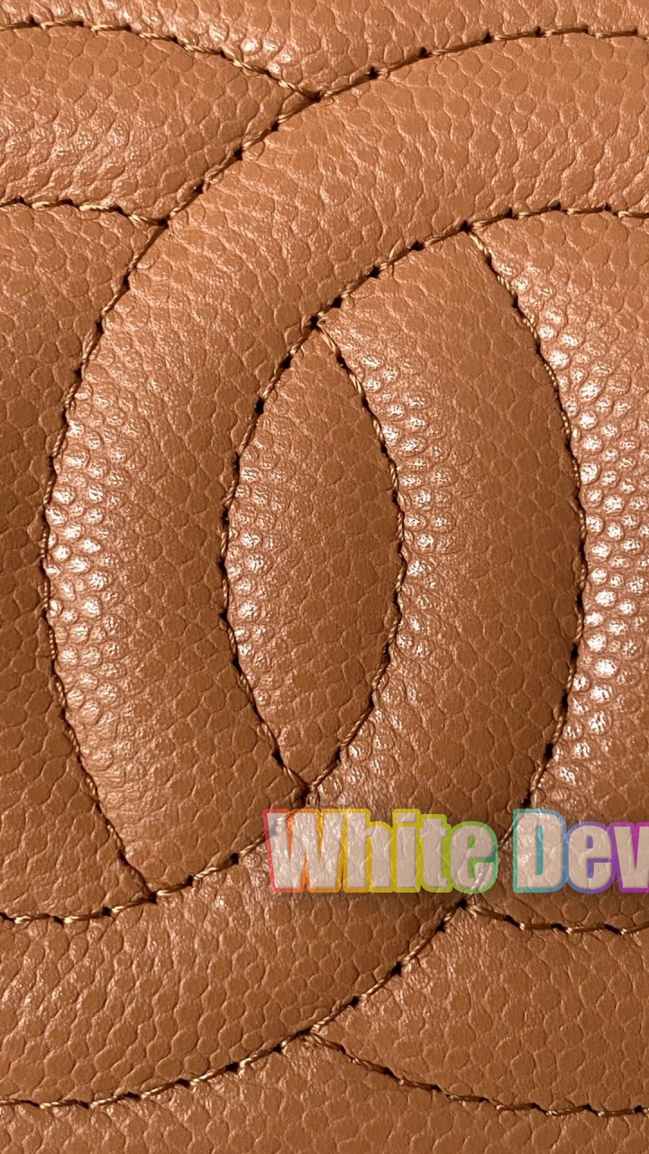 하얀악마 샤넬 베니티 (17).jpg