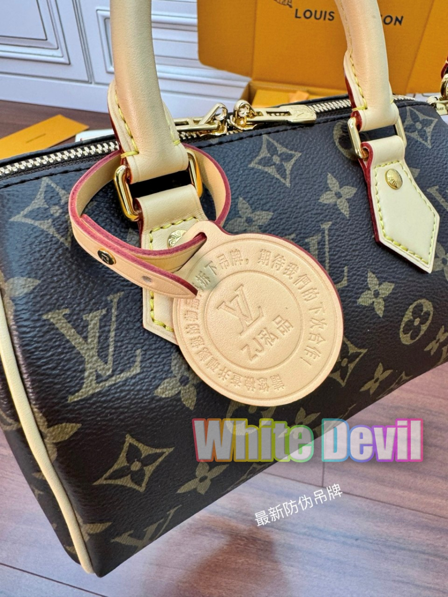 하얀악마 루이 반둘리에 (11).jpg