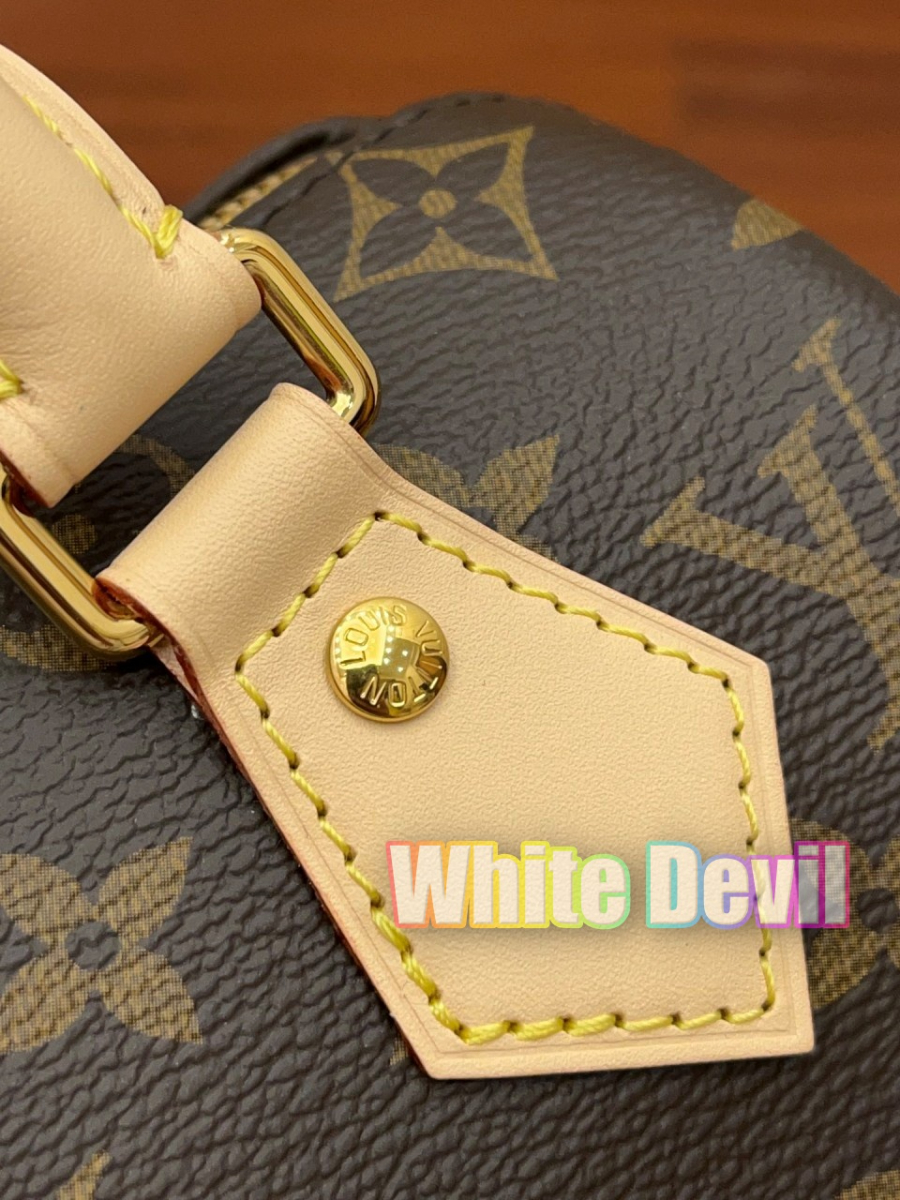 하얀악마 루이 반둘리에 (16).jpg