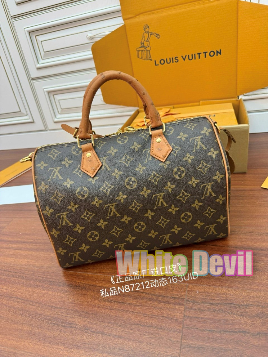 하얀악마 루이 스피디 (6).jpg