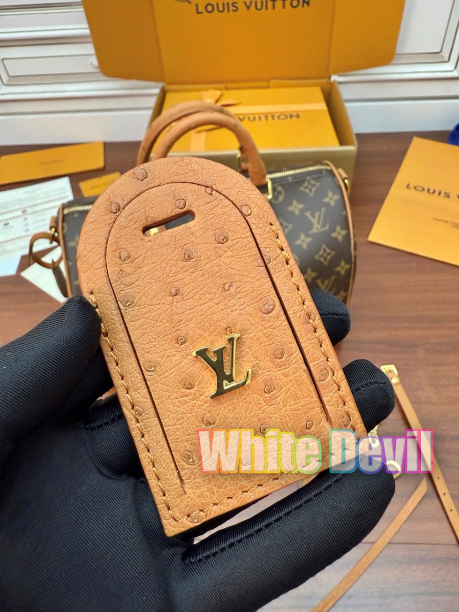 하얀악마 루이 스피디 (14).jpg