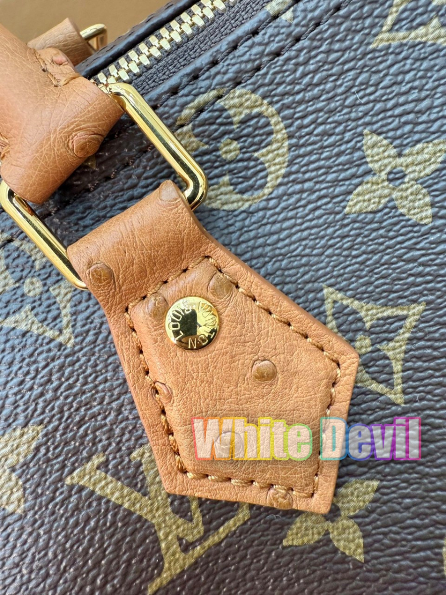 하얀악마 루이 스피디 (18).jpg