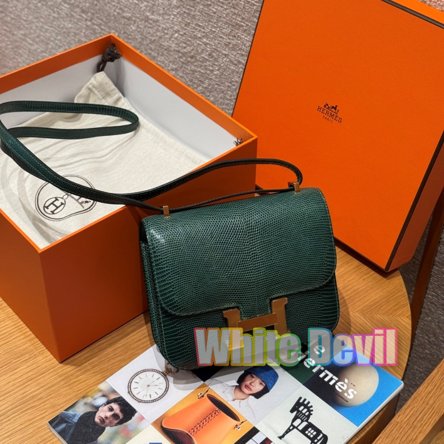 기증악마 에르콘스탄스 (1).jpg