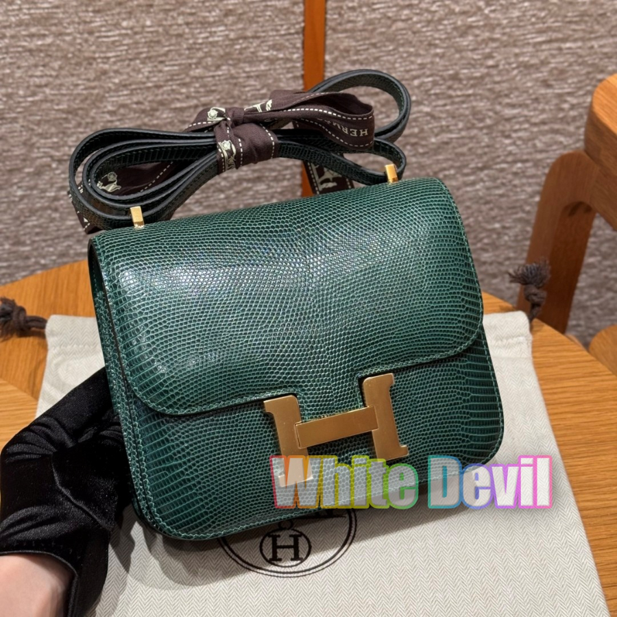 기증악마 에르콘스탄스 (2).jpg