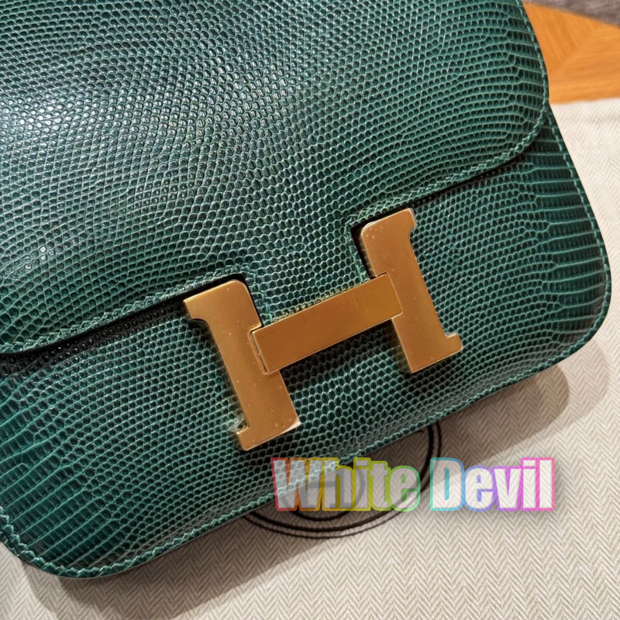 기증악마 에르콘스탄스 (11).jpg