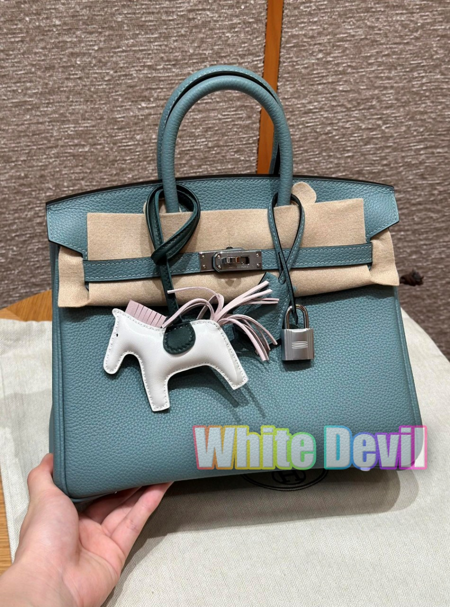 하얀악마 에르 버킨 (2).jpg