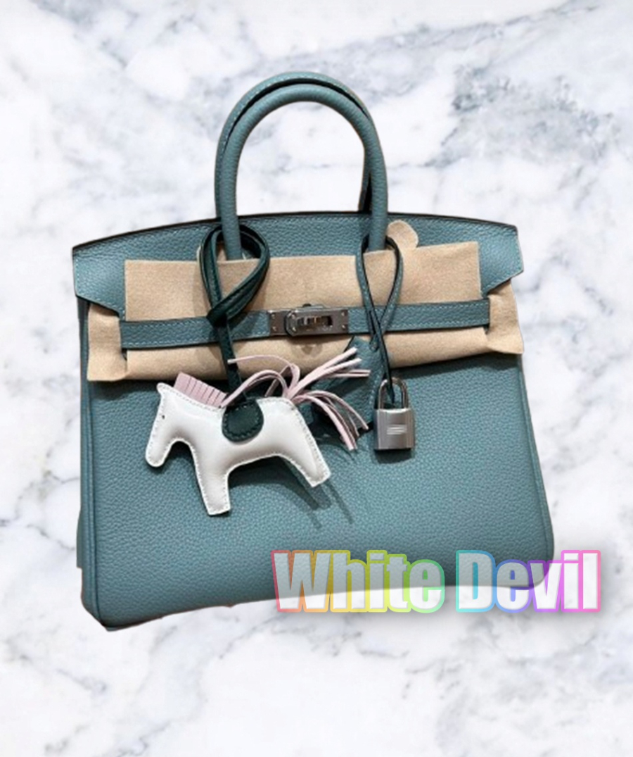 하얀악마 에르 버킨 (15).jpg