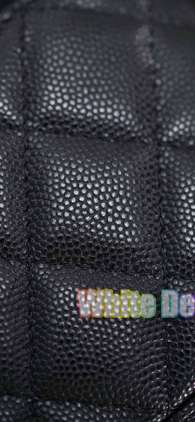 하얀악마 샤넬 베니티 (23).jpg