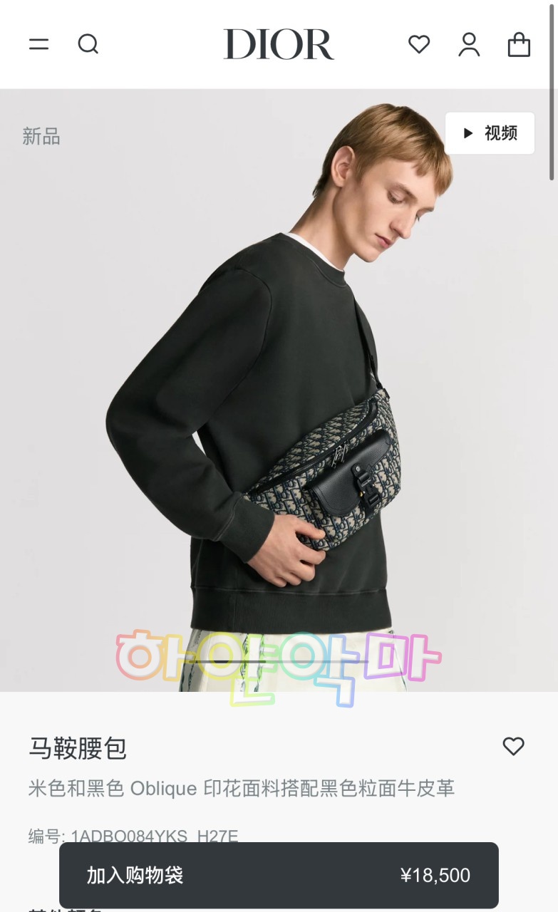 하얀악마 디올 새들 벨트백 (1).jpg