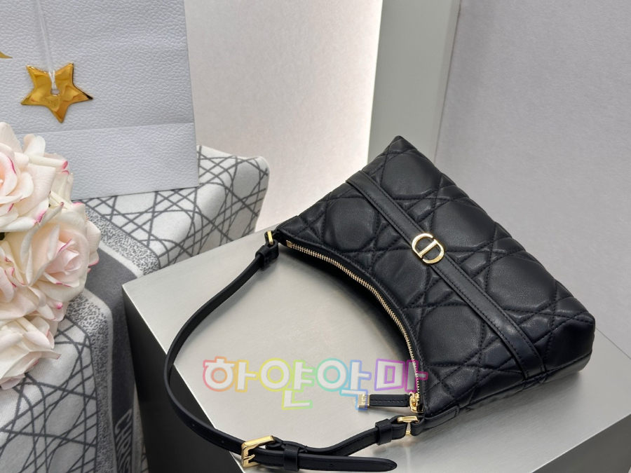 하얀악마 디올 카로시갈 (8).jpg