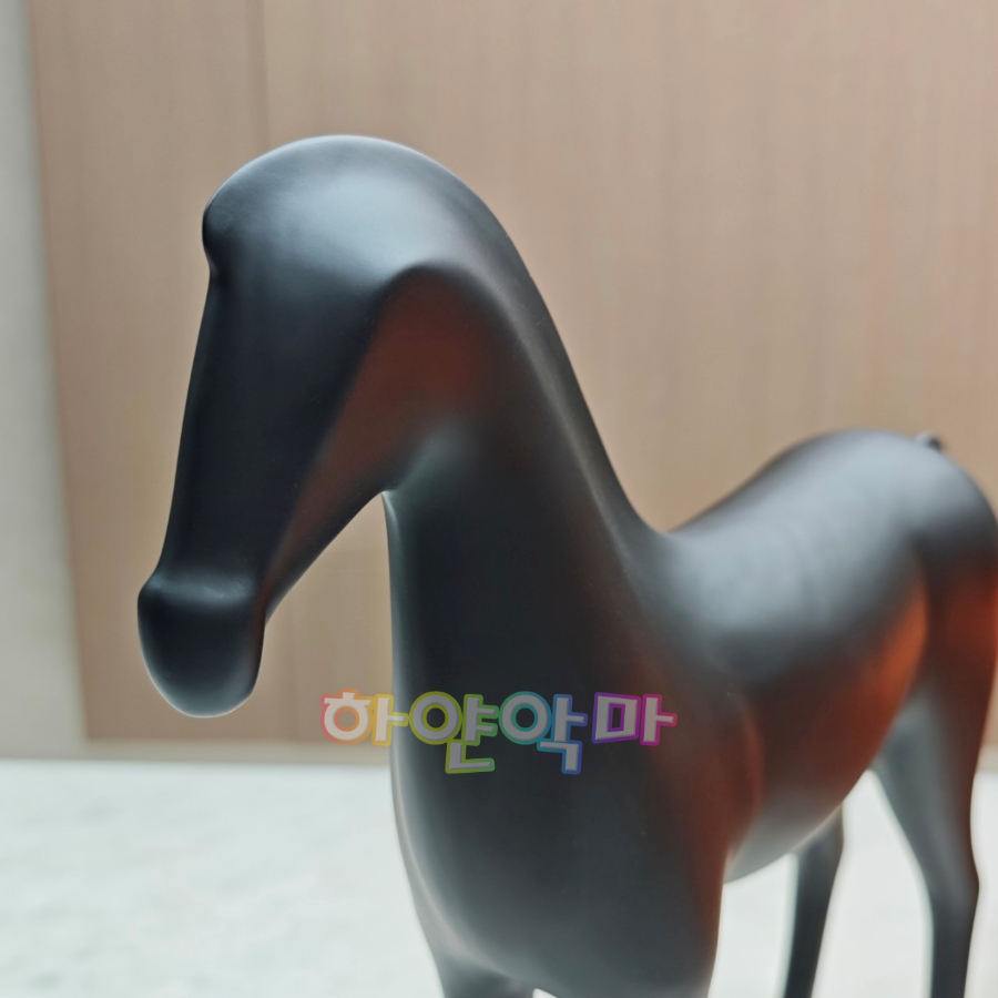 하얀악마 에르 아리온 (8).jpg