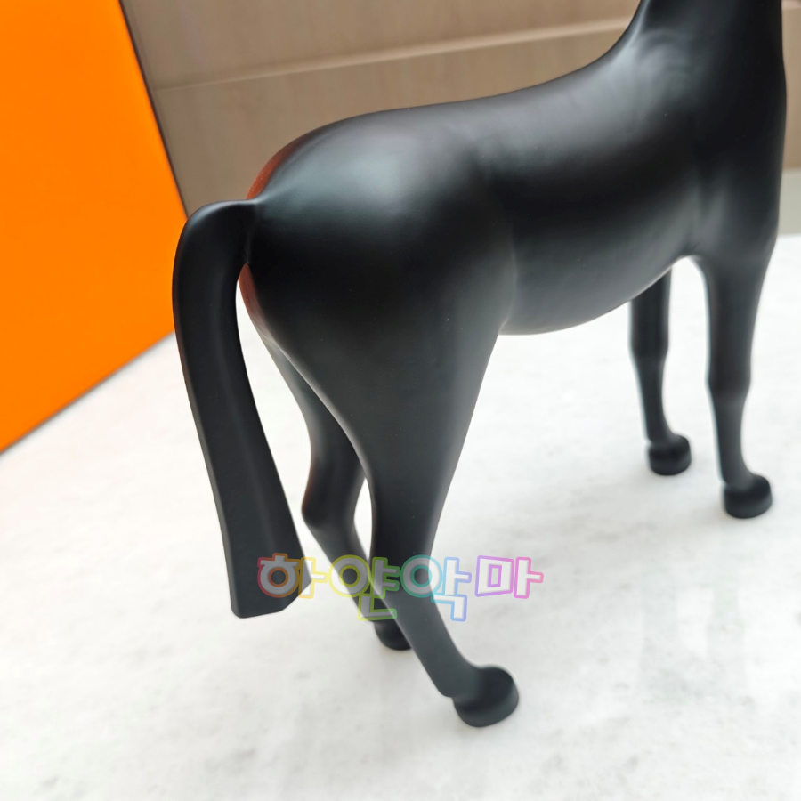 하얀악마 에르 아리온 (10).jpg