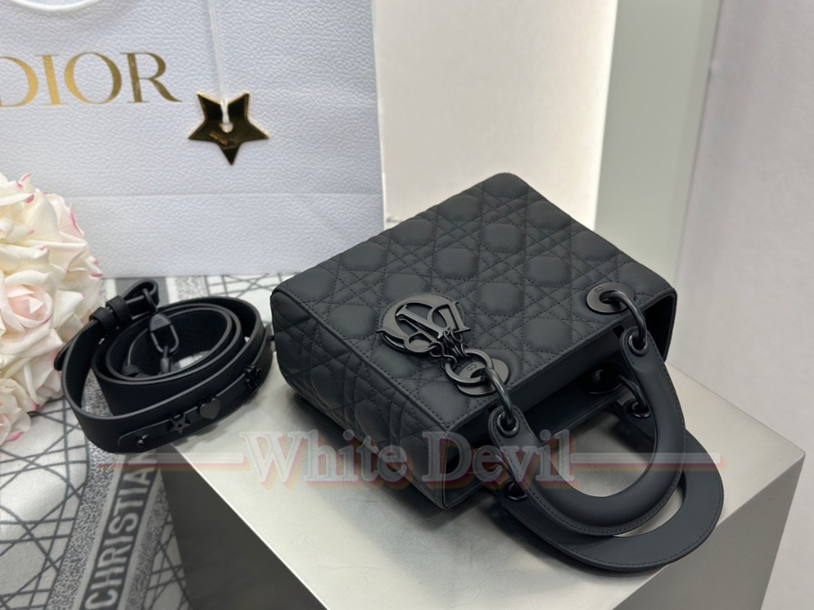 하얀악마 디올 레이디백 (8).jpg