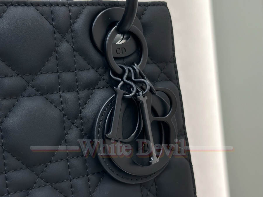 하얀악마 디올 레이디백 (12).jpg