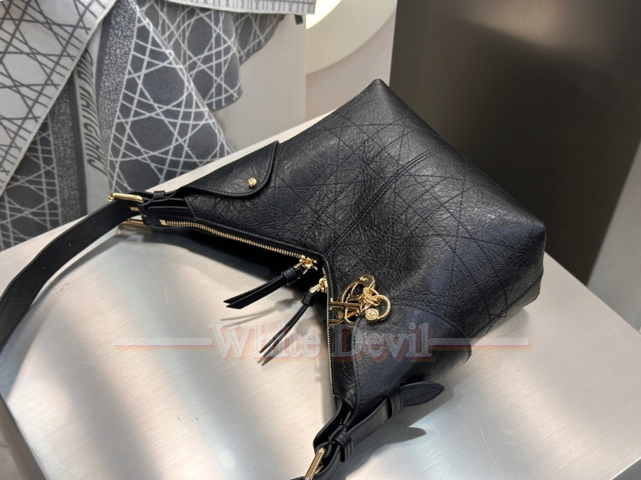 하얀악마 디올 보야지백 (7).jpg