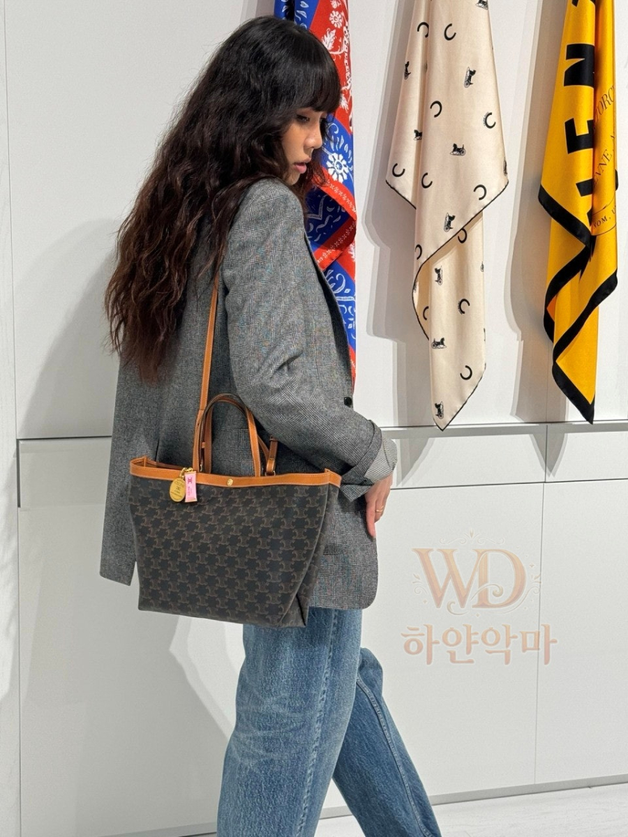 셀린느카바스토트백-여자가방추천-1.jpg
