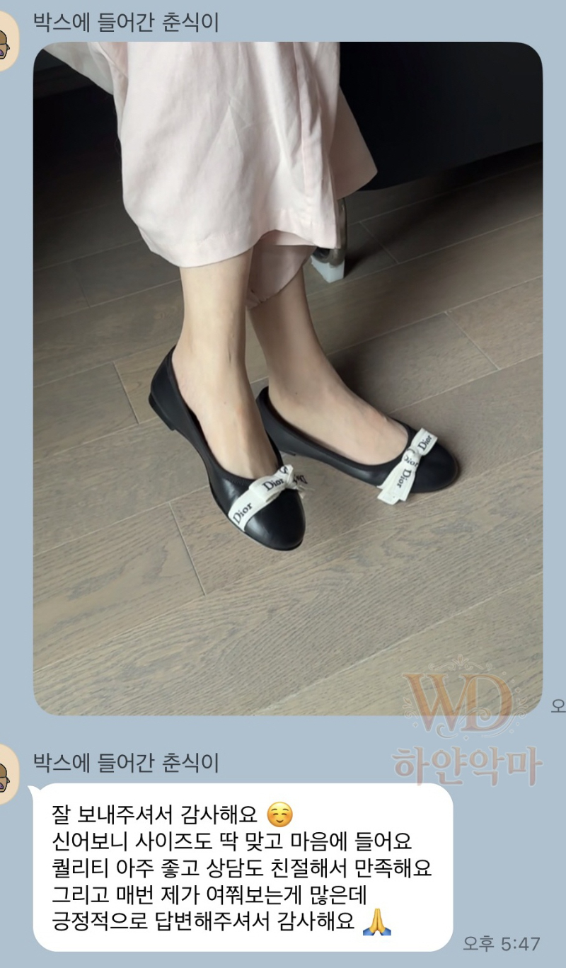 디올 플랫슈즈 후기 [16090].jpg
